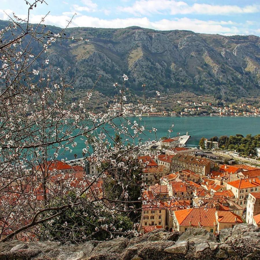Old Town Kotor Square Διαμέρισμα Εξωτερικό φωτογραφία